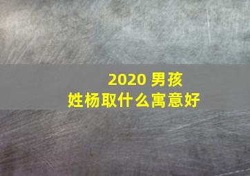 2020 男孩姓杨取什么寓意好